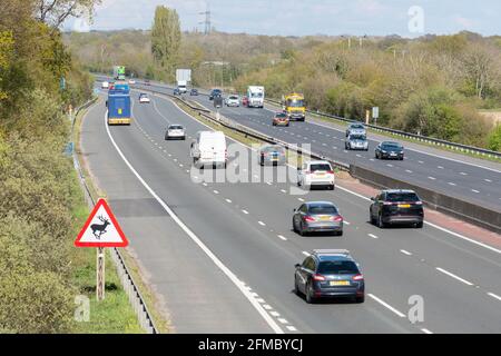 Dreieckige Hirschkreuzung Warnschild auf der Autobahn M3 mit Verkehrswagen, Hampshire, England, Großbritannien Stockfoto