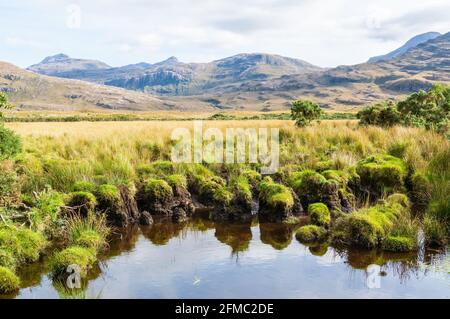 Sumpfgebiete in der schottischen Region Torridon mit Bergen im Hintergrund. Stockfoto