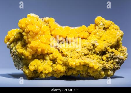 Kristalle von mimetit, Bleiarsenat-Chlorid-Mineral (PB5(AsO4)3CL), das sich als sekundäres Mineral in Bleiablagerungen bildet Stockfoto