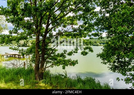 Eine Reihe von schönen Aussichten auf den Rauchwartsee in einem suny-Tag, Burgenland, Österreich. Stockfoto