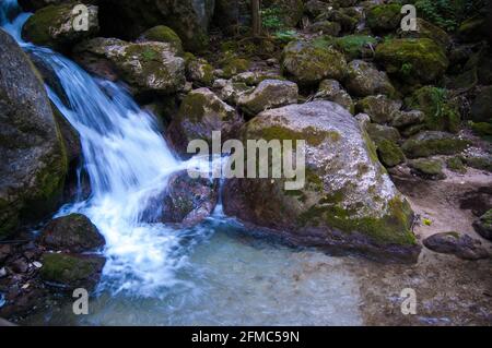 Wunderschöne Aussicht auf Myra Falls Wasserfälle mit moosigen Steinen in Niederösterreich (Myrafälle, Niederösterreich), Österreich. Stockfoto