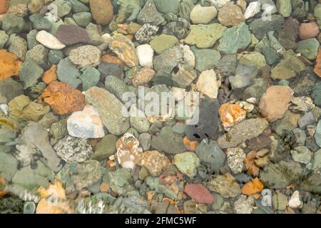 Kristallklares Wasser auf dem See Teletskoye, durch die Sie die Steine auf dem Boden liegen sehen können.Russland, Region Altai. Stockfoto