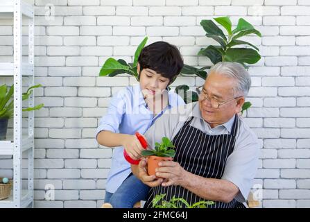 Der pensionierte Großvater verbrachte die Ferien mit seinem Enkel, der sich um den Innengarten kümmerte. Entspannende Atmosphäre im Urlaub zu Hause. Stockfoto