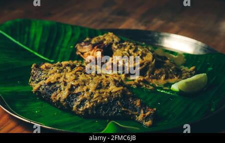 Bengalisches Fischgericht, Telapia auf Bananenblatt, selektiver Fokus Stockfoto