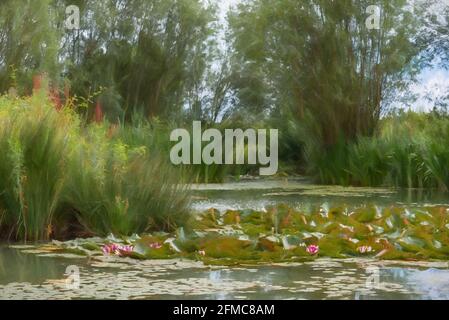 Digitale Malerei einer rosa-weißen Seerose zwischen grünen Seerosen auf einem Teich. Stockfoto