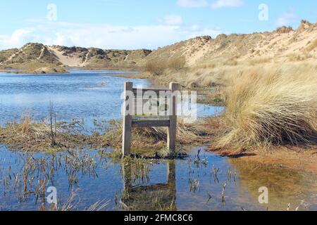 The Devil's Hole, eine große Düne-Schlacke mit brütenden Natterjack-Kröten im Ravenmeols Sandhills Local Nature Reserve, Formby, Sefton Coast, Großbritannien Stockfoto