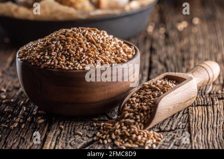 Weizenkörner-der Hauptbestandteil des Brotes in Holzschüssel und hölzernen rustikalen Schaufel gefüllt. Backend knuspriges Brot im Hintergrund. Stockfoto