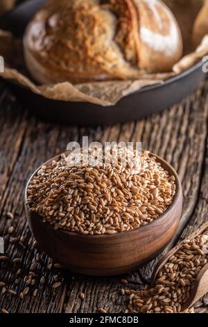 Ländliche Holzschale voller Weizenkörner bereit, für frisches Mehl zu mahlen. Knusprige Hefe Brot Laib im Hintergrund. Stockfoto