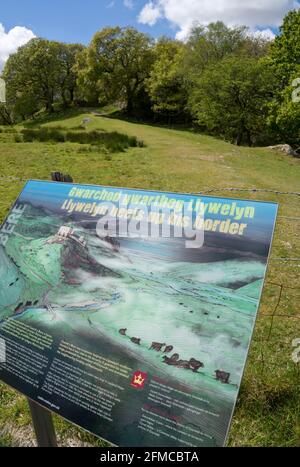 Blick auf Castell y Bere, ein walisisches Schloss in der Nähe von Llanfihangel-y-pennant, das von Llywelyn dem Großen in den 1220er Jahren in Gwynedd, Wales, Großbritannien, erbaut wurde Stockfoto