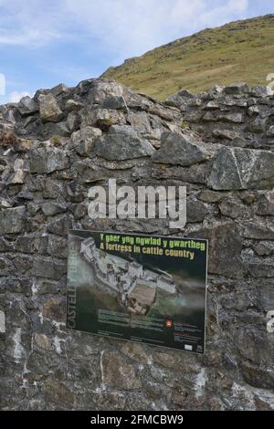 Blick auf Castell y Bere, ein walisisches Schloss in der Nähe von Llanfihangel-y-pennant, das von Llywelyn dem Großen in den 1220er Jahren in Gwynedd, Wales, Großbritannien, erbaut wurde Stockfoto