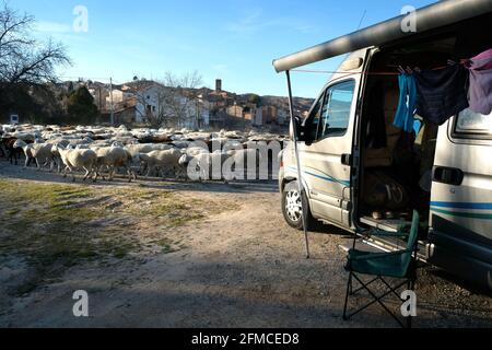 Aire campen in einem Wohnmobil, während ein Schaffe vor dem Dorf Torrebaja, Valencia, Spanien vorbeizieht Stockfoto