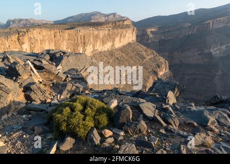 Jebel Shams, der Grand Canyon von Arabien. Region Al Dakhiliyah, Oman. Stockfoto