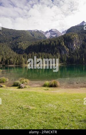 Einblicke und Details zum Tovelsee in Trentino-Südtirol In Italien Stockfoto