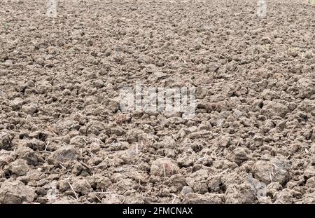 Der Boden ist eine weiche, körnige Abdeckung der Erdoberfläche Stockfoto