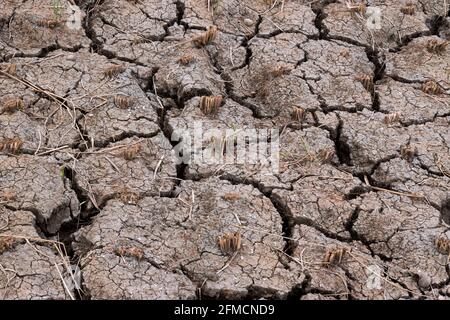Der Boden ist eine weiche, körnige Abdeckung der Erdoberfläche Stockfoto