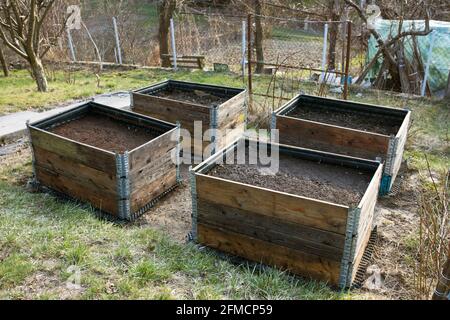 Hochbetten für Gemüseanpflanzung mit Palettenkragen. Permakultureller Gartenbau Stockfoto