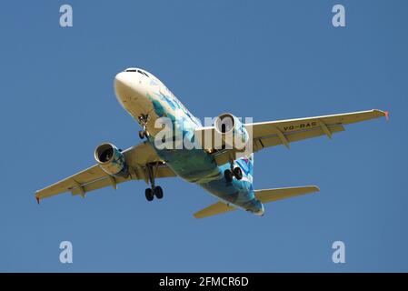 ST. PETERSBURG, RUSSLAND - 08. MAI 2018: Airbus A319-111 (VQ-BAS) der Fluggesellschaft Rossiya in der Farbgebung des Fußballvereins Zenit auf einem Nahaufflug Stockfoto