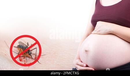 Zika-Virus, Stop Moskito Zeichen. Konzept über Zika Schwangerschaft Angst medizinische und Virus Gefahr. Schwanger Frau mit den Händen über dem Bauch. Stockfoto