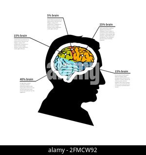 Mann Gehirn Potenzial, hell detaillierte Infografik mit Text auf weiß Stock Vektor