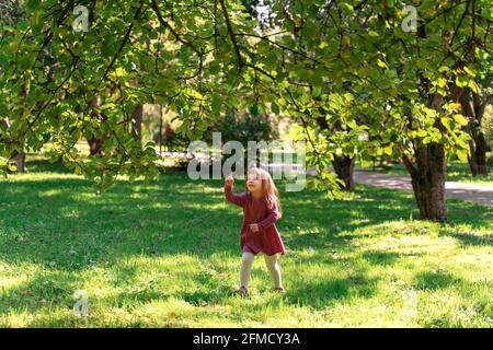 Portrait von kleinen Mädchen Kind auf dem Gras in sonnigen Sommertag. Stockfoto