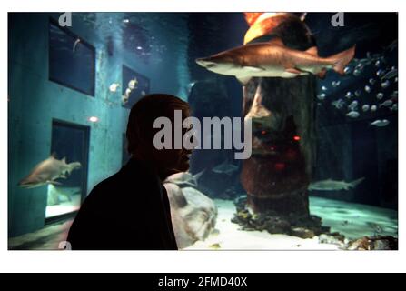 PETER BENCHLEY VOR DEM HAIFISCHBECKEN IM LONDONER AQUARIUM, UM DIE WILDAID'S-KAMPAGNE ZUM SCHUTZ DER HAIE DER WELT ZU STARTEN. Stockfoto