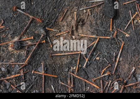 Rostende Nägel und Schrauben, die nach dem Lagerfeuer zurückgelassen wurden, um alte Holzbretter, Paletten, Schachteln usw. für etwas Gone, Past Industry, Metal Abstract zu verbrennen. Stockfoto