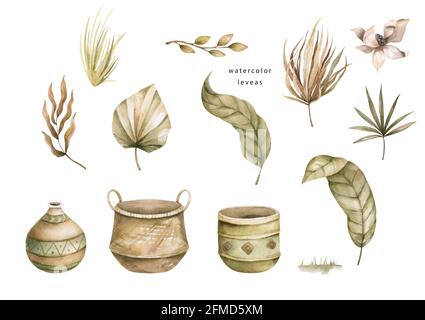 Sammlung von wilden und Garten blühenden Blumen und Vasen isoliert auf weißem Hintergrund. Boho-Design. Set mit dekorativen floralen Designelementen Stockfoto