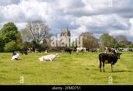 Long Ashton All Saints Pfarrkirche auf dem Land auf dem Fransen von Bristol UK Stockfoto