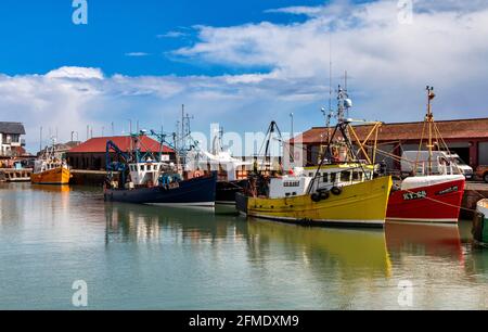 ARBROATH ANGUS SCHOTTLAND EINE GRUPPE VON BUNTEN FISCHERBOOTEN FESTGEMACHT IM BINNENHAFEN Stockfoto