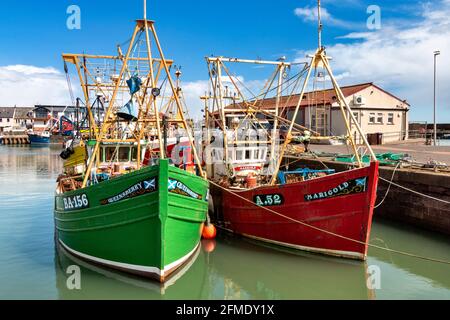 ARBROATH ANGUS SCHOTTLAND ROT UND GRÜN BUNTE FISCHERBOOTE FESTGEMACHT IM BINNENHAFEN Stockfoto