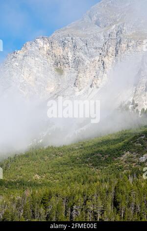 Fuornpass, Schweiz - 10. September 2020: Der Schweizerische Nationalpark liegt in den westlichen rätischen Alpen, in der Ostschweiz. Stockfoto