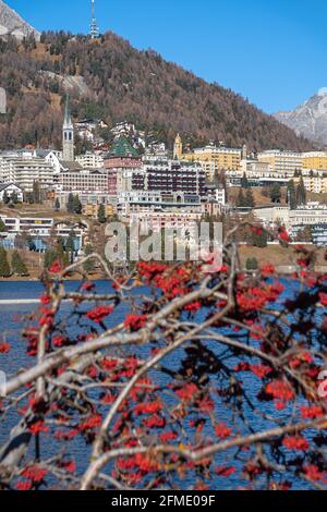 St. Moritz, Schweiz - 26. November 2020: Blick auf St.Moritz und die roten Fruchtsträucher am Moritzersee. Stockfoto