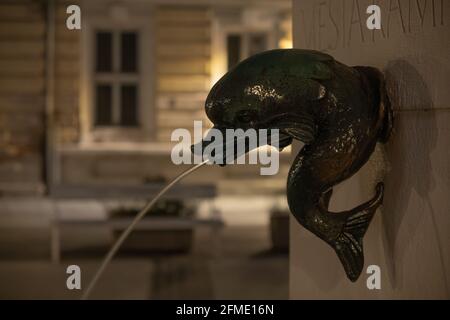 Kamnik, Slovenika - 2. August 2020: Detail eines Brunnens in der Altstadt von Kamnik bei Nacht Stockfoto