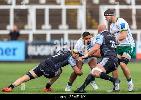 Newcastle, Großbritannien. Mai 2021. Curtis Rona von London Irish wird von Mark Wilson von Newcastle Falcons und Carl Fearns von Newcastle Falcons in Newcastle, Großbritannien am 5/8/2021 in Angriff genommen. (Foto von Iam Burn/News Images/Sipa USA) Quelle: SIPA USA/Alamy Live News Stockfoto