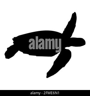 Schwarze isolierte Silhouette einer Meeresschildkröte auf weißem Hintergrund. Seitenansicht. Stock Vector Clipart EPS 10. Chelonia, Eretmochelys, Natator Stock Vektor