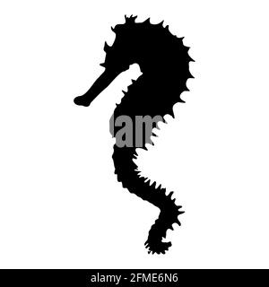 Sea Horse. Schwarze isolierte Silhouette eines Meerestieres auf weißem Hintergrund. Vektorgrafik Clipart. Stock Vektor