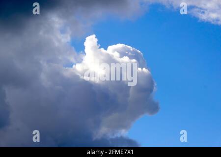 Wabenweise Cumulus-Wolken zeigen Flecken blauen Himmels, die über den Himmel huschen und drohenden Regen bringen. Stockfoto