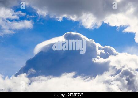 Wabenweise Cumulus-Wolken zeigen Flecken blauen Himmels, die über den Himmel huschen und drohenden Regen bringen. Stockfoto