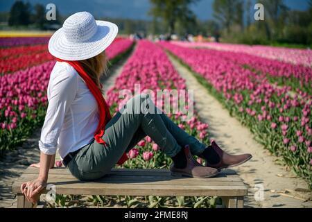 Gut gekleidete Frau mittleren Alters, die einen weißen Strohhut trägt, auf einer Bank vor den Reihen einer erstaunlichen Tulpenplantage sitzt und die Aussicht genießt Stockfoto