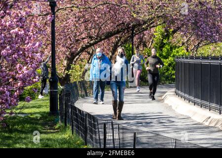 Der Central Park ist ein beliebtes Reiseziel vor allem im Frühling, New York City, USA Stockfoto