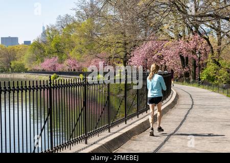 Der Central Park ist ein beliebtes Reiseziel vor allem im Frühling, New York City, USA Stockfoto