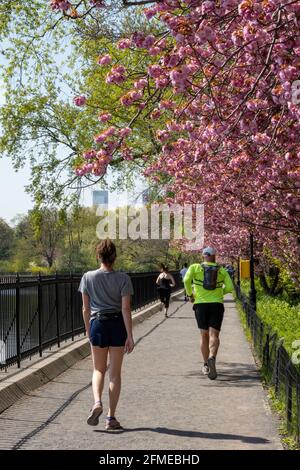 Der Central Park ist ein beliebtes Reiseziel vor allem im Frühling, New York City, USA Stockfoto