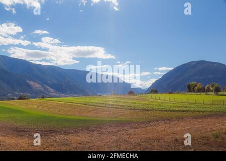 Ländliche Landschaft sanfte Hügel Landschaft pastoraler Ackerflächen in der Nähe von Osoyoos, British Columbia, im Okanagan Valley an einem Sommertag. Stockfoto