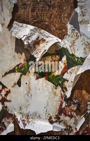 Buntes Detail der abblätternden Oberfläche einer alten Plakatwand Stockfoto