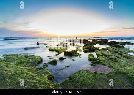 Lange Exposition von Wellen am Strand und Felsen mit grünen Pflanzen bedeckt, Palmachim Beach - Israel Stockfoto