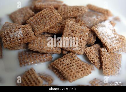 Eine Nahaufnahme von Schokolade Kissen Müsli mit Milch in einem Schüssel Stockfoto