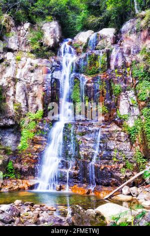 Malerischer Minnamurra Wasserfall im Nationalpark von australien - üppiger Regenwald. Stockfoto