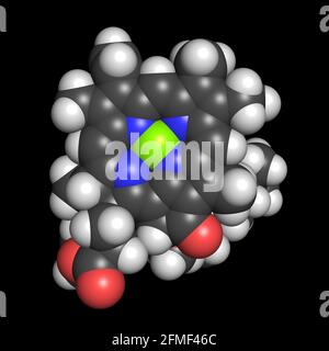 Chlorophyll ein grünes Pigmentmolekül 3D rendern chemische Struktur Stockfoto