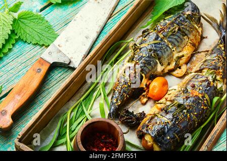 Geröstete Makrele mit Estragon und Brennnessel.gegrillter scomber in Kräutern auf Ein Holztablett Stockfoto