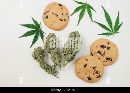 Schokoladenkekse mit CBD-Öl. Marihuanaknospen auf weißem Hintergrund. Cannabisblüten isoliert Nahaufnahme. Stockfoto